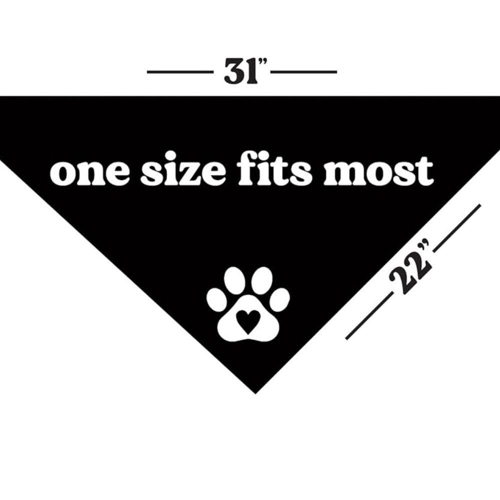 Bandana Pregnancy Announcement - Picture 3 of 3